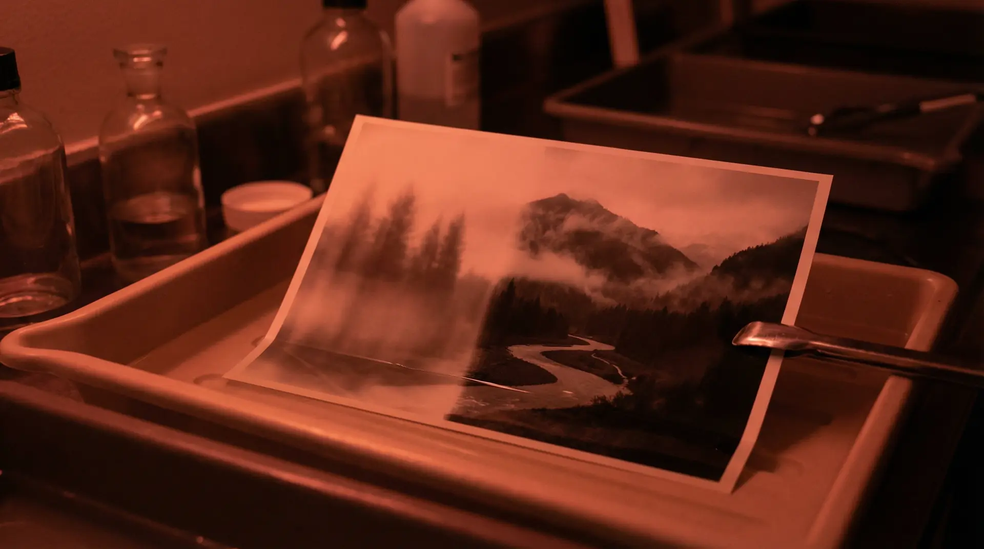 搞鸡软件 APP下载背景